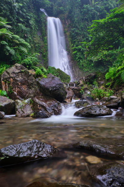 istock The enchanting Saderi Waterfall is located in Bogor, West Java, Indonesia 2050750211