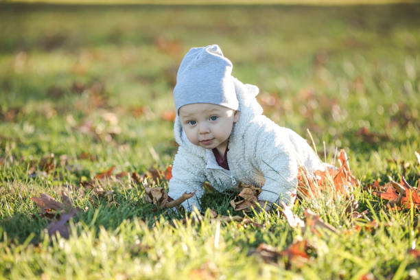 istock Adorable baby crawling in fallen leaves in morning sunlight. 2050757671