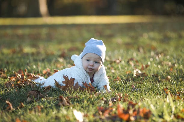 istock Adorable baby crawling in fallen leaves in morning sunlight. 2050757673
