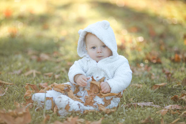 istock Adorable baby crawling in fallen leaves in morning sunlight. 2050757676