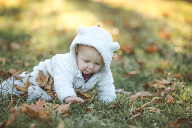 istock Adorable baby crawling in fallen leaves in morning sunlight. 2050757699
