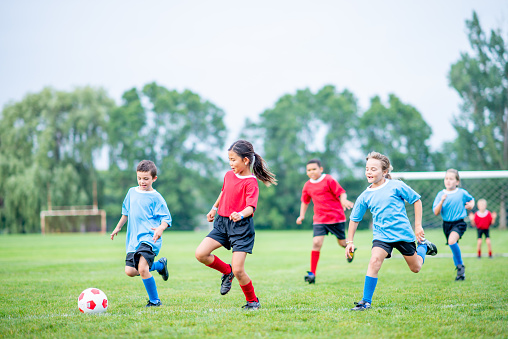 A group of school aged children are seen playing soccer on a field together.  They are divided into a red and blue team and appear to be enjoying themselves.