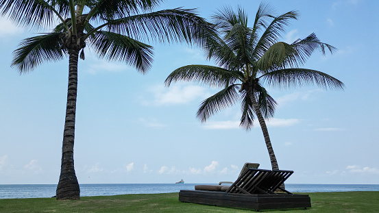 A lounge chair on a green grassy beach near the palm trees