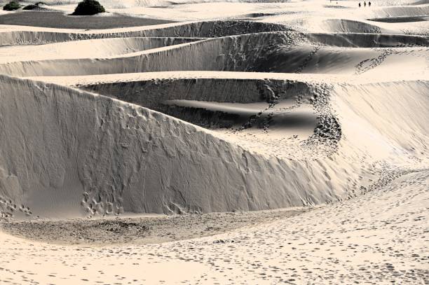 istock The dune of Maspalomas in Gran Canaria 2050765369