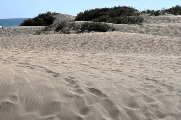 istock The dune of Maspalomas in Gran Canaria 2050766442