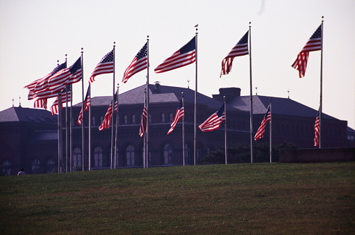 U.S. flags at the National Mall in Washington, D.C., the United States