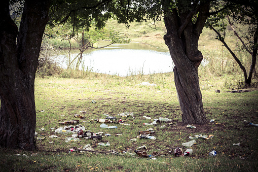 Garbage on the lawn near the lake. Bottles and plastic glasses on the green lawn between the trees. People don't clean up trash after a picnic