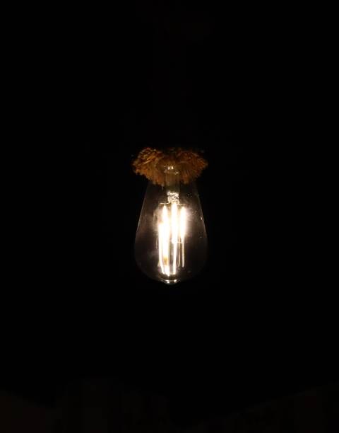 istock Electric Light Bulb Photography In The Evening While Having Dinner in the Restaurant 2050806775