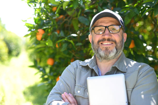 istock Farmer picking ripe oranges in the garden 2050836577