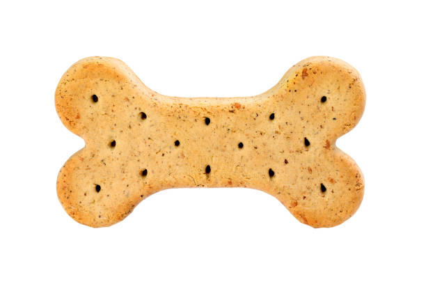 istock bone cookie for dogs on a white background 2050836585