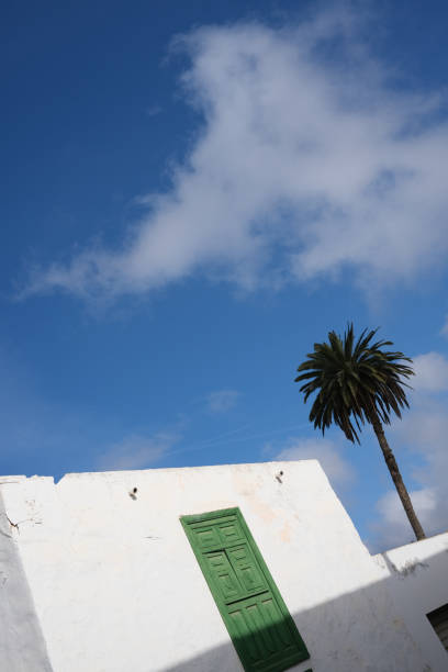 Square flat-roofed house with single palm tree and blue sky in Canary Islands, Spain