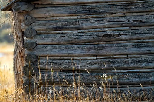 Old run down log cabin in Montana near Yellowstone Park in western USA of North America.