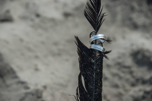 Rings exchanged in a natural setting, symbolizing a bond as strong and enduring as the mountains.