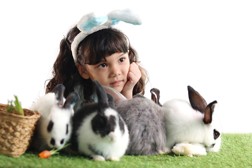 Cute little girl with blue bunny ears playing with rabbits while lying on green grass. Joyful kid with her pet celebrating Easter day on white background. Happy child on Easter holiday celebration.
