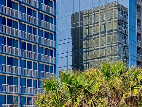 High rise apartments and condominiums with reflections off expansive windows. With tropical cabbage palm tree in foreground. Refection off Seaglass tower resort.