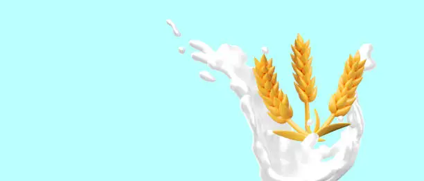 Vector illustration of Golden wheat in splash of milk. Harvest concept. Food and natural product