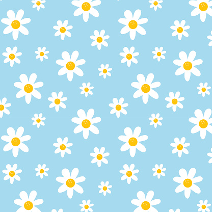 Camomile or daisy isolated on blue background. Hand drawn camomile floral seamless pattern vector illustration.