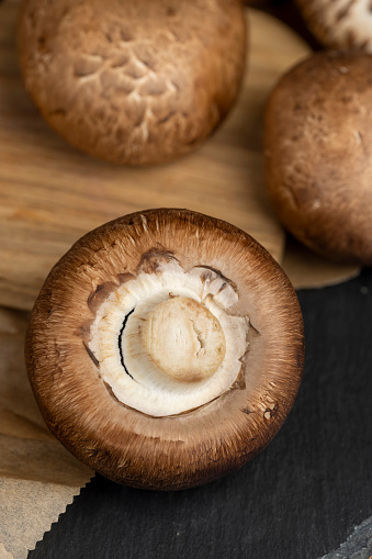 fresh brown mushrooms for cooking, edible home-grown mushrooms for cooking