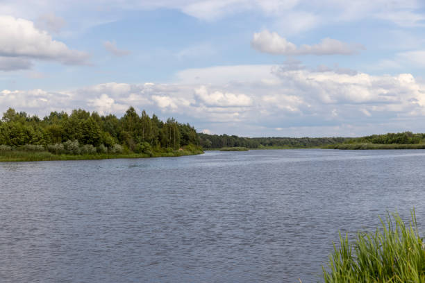 istock water with waves in the river in summer with green grass 2051072871