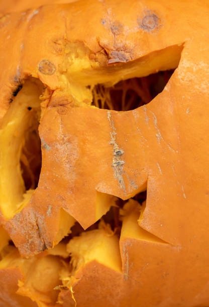 carved scary pumpkin head for Halloween