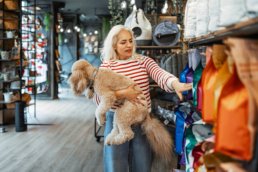 Young woman with poodle in pet shop buying food