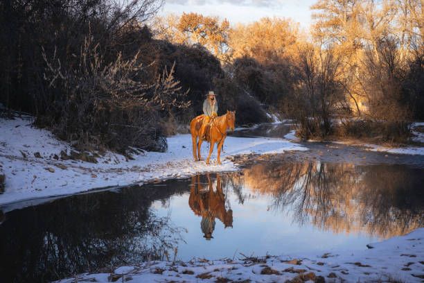 istock Winter Ranch Horse Riding 2051112303