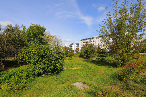 Areas of lush vegetation form  a naturally growing park close to residential buildings in the Goclaw housing estate in the Praga-Poludnie district of Warsaw.