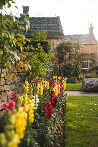Flowers in Springtime in front of a Cotswolds Cottage at Sunset - Broadway, England