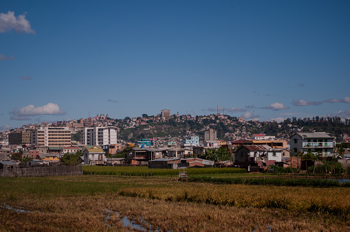Explore the harmonious blend of urban living and agricultural beauty in Antananarivo through this captivating image. Witness the unique sight of urban rice fields, a testament to the city's sustainable coexistence with nature. The vibrant green fields amidst the urban landscape create a picturesque scene, showcasing the city's distinctive connection to agriculture. Experience the tranquility of urban riziculture in the heart of Antananarivo.