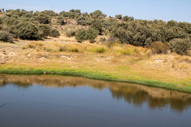 istock Pond in the field 2051216354