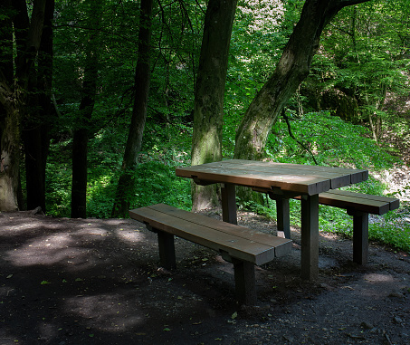 Picnic table in summer forest.