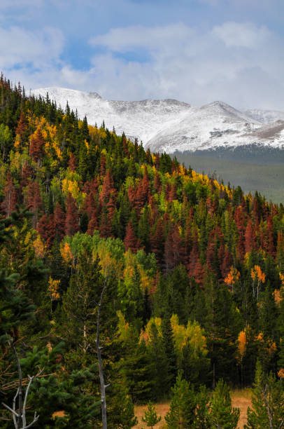 istock Early autumn foliage and snow-dusted mountains from the Trail Ridge Road 2051297364