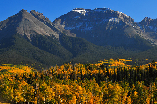 Late afternoon light on fall colors up the slopes of Whitehouse Mountain and Corbett Peak and ridge on the Sneffels Range of the San Juan mountains, from a country road near Ridgway, Colorado, USA.