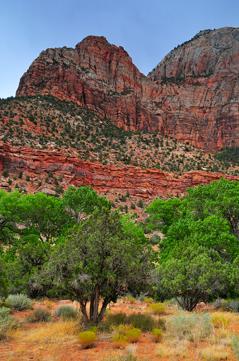 Overcast afternoon on the sandstone cliffs of Zion Canyon from the Scenic Drive, Zion National Park, Utah, Southwest USA.