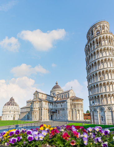 Flowers and Leaning Tower on Cathedral Square in Pisa, Italy
