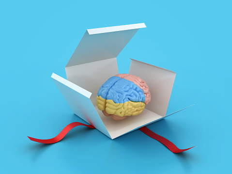 Brain with Gift Box - Color Background - 3D rendering