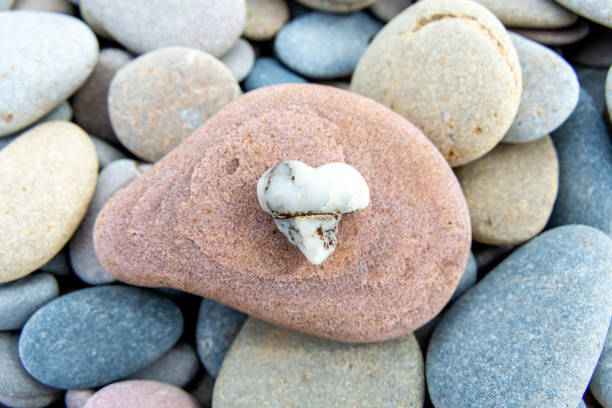 A small, heart-shaped stone sits atop a larger pebble surrounded by smooth stones, evoking themes of uniqueness and love