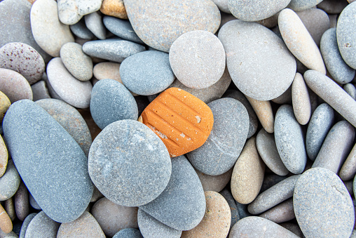 One orange stone stands out among a bed of smooth, grey pebbles