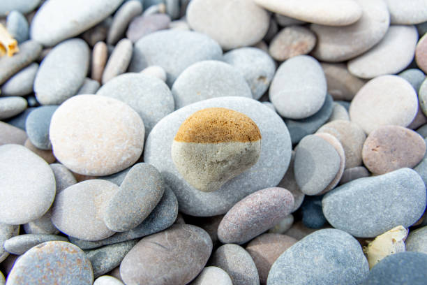 istock Bicolored Round Stone Centered Amongst Gray Pebbles 2051411281