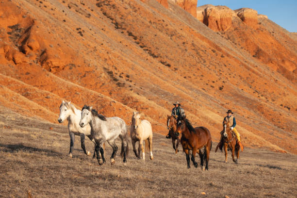 istock Running the Horses 2051411822