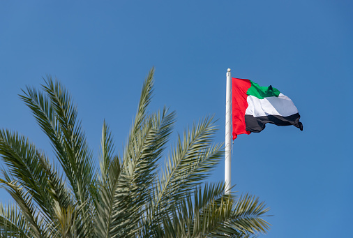 A picture of the United Arab Emirates flag.