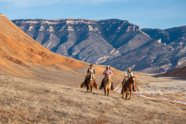 istock Winter Ranch Horse Riding 2051421688