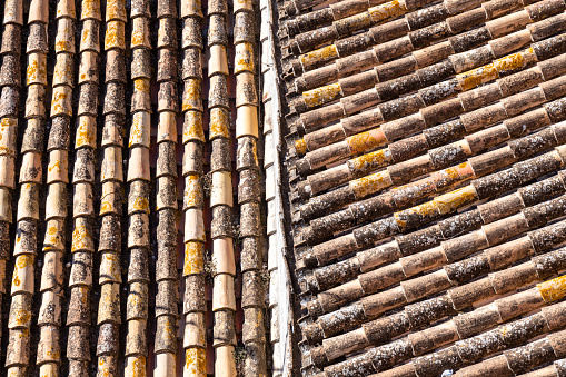 Detail of aged terracotta roof tiles with distinctive patina and textures, typical in Spain