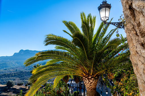 El Castell de Guadalest, Alicante - Spain - 12-27-2023: A palm tree beside a classic lamp post with mountain views in Guadalest, Spain