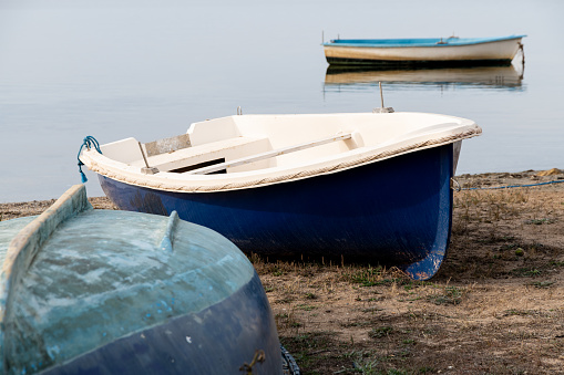 Blue and white boats resting by the sea on a clear day
