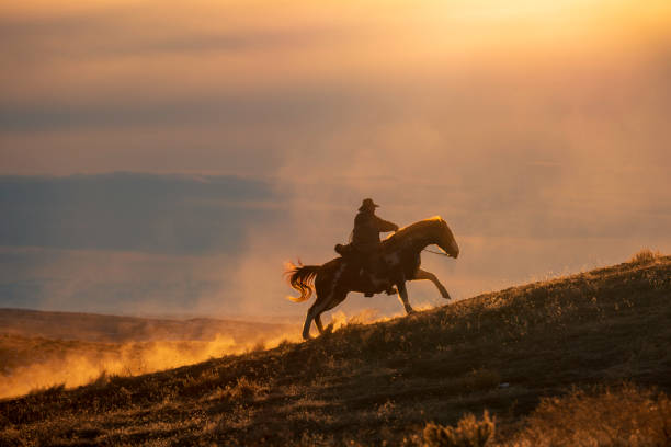 Winter Ranch Horse Riding