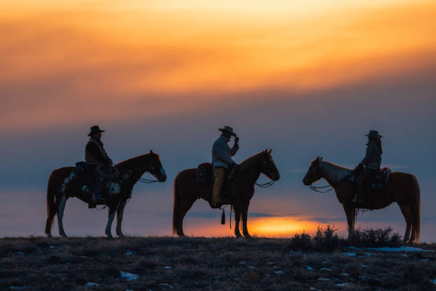 istock Winter Ranch Horse Riding 2051439767