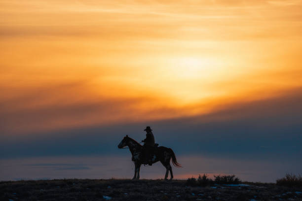 istock Winter Ranch Horse Riding 2051439770