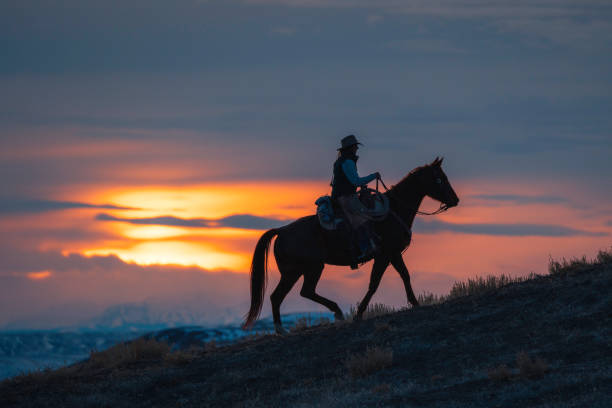 istock Winter Ranch Horse Riding 2051439827