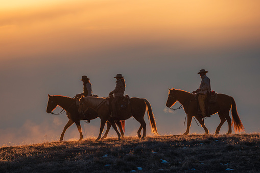 cowboy with lasso silhouette at small-town rodeo. Note image contains added grain.